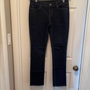 Ann Taylor Blue Skinny Jeans Sleek Fit